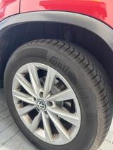 Volkswagen Tiguan Automatik Navi Pano AHK HU 2/28 R-line - Volkswagen Tiguan mit Benzin-Antrieb: Rot, Beheizbare Frontscheibe