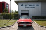 Ford Mustang T5 298 V8 Cabrio Note 2 * H-Kennzeichen - Ford Mustang aus 1965