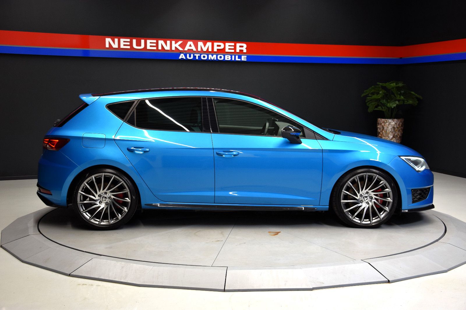 Fahrzeugabbildung SEAT Leon Cupra 290 Dynamic-Paket Sonderlackierung