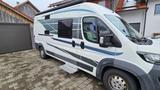 Knaus Main Camp V 600 Q ( gleich Boxlife 600 MQ) - Knaus Kastenwagen