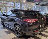 Alfa Romeo Stelvio 2.2 JTDM VELOCE Q4*Matrix LED*ACC*Kamera - Alfa Romeo Stelvio in Duisburg
