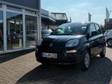 Fiat Panda 1.0 GSE Hybrid Pandina Icon - Fiat Panda Gebrauchtwagen in Karlsruhe
