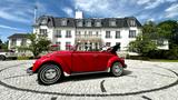 Volkswagen Traum-Käfer 1500! Mit dem Cabrio in den Sommer - Volkswagen Käfer: Cabrio, 1500