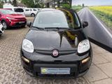 Fiat Panda mit Klima, Bluetooth & Allwetter Klima - Fiat Panda Gebrauchtwagen in Duisburg