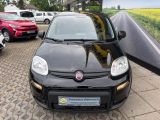 Fiat Panda mit Klima, Bluetooth & Allwetter Klima - Fiat in Nürnberg