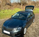 Skoda Octavia 2.0 TDI DSG Ambition Combi Ambition - Skoda Octavia in Mönchengladbach