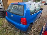Volkswagen Lupo Basis! Zahnriemen bei 90tsdkm! Tüv 11/26! - Volkswagen Lupo: 1.2