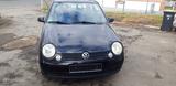 Volkswagen Lupo 1.4 44kW Trendline-Klima-Hu neu. - Volkswagen Lupo: Trendline