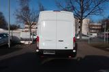 Ford Transit Kasten 350 L4 Trend Maxi Klima - Ford Transit: Trend