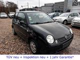 Volkswagen Lupo 1.0 College + Allwetter + 1.Hand - VW Lupo Gebrauchtwagen in Berlin