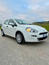Fiat Punto 1.3 MJT 95CV S&S 5 porte Van Easy 4 p - Fiat Punto EASY mit Diesel-Antrieb