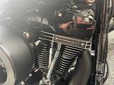 Harley-Davidson FLSS Softail Slim S 110 - SCREAMIN EAGLE, AIRRID - Offers
