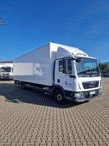 MAN TGL 12.180 4x2LL Koffer 8,23m - MAN Tgl 12 180