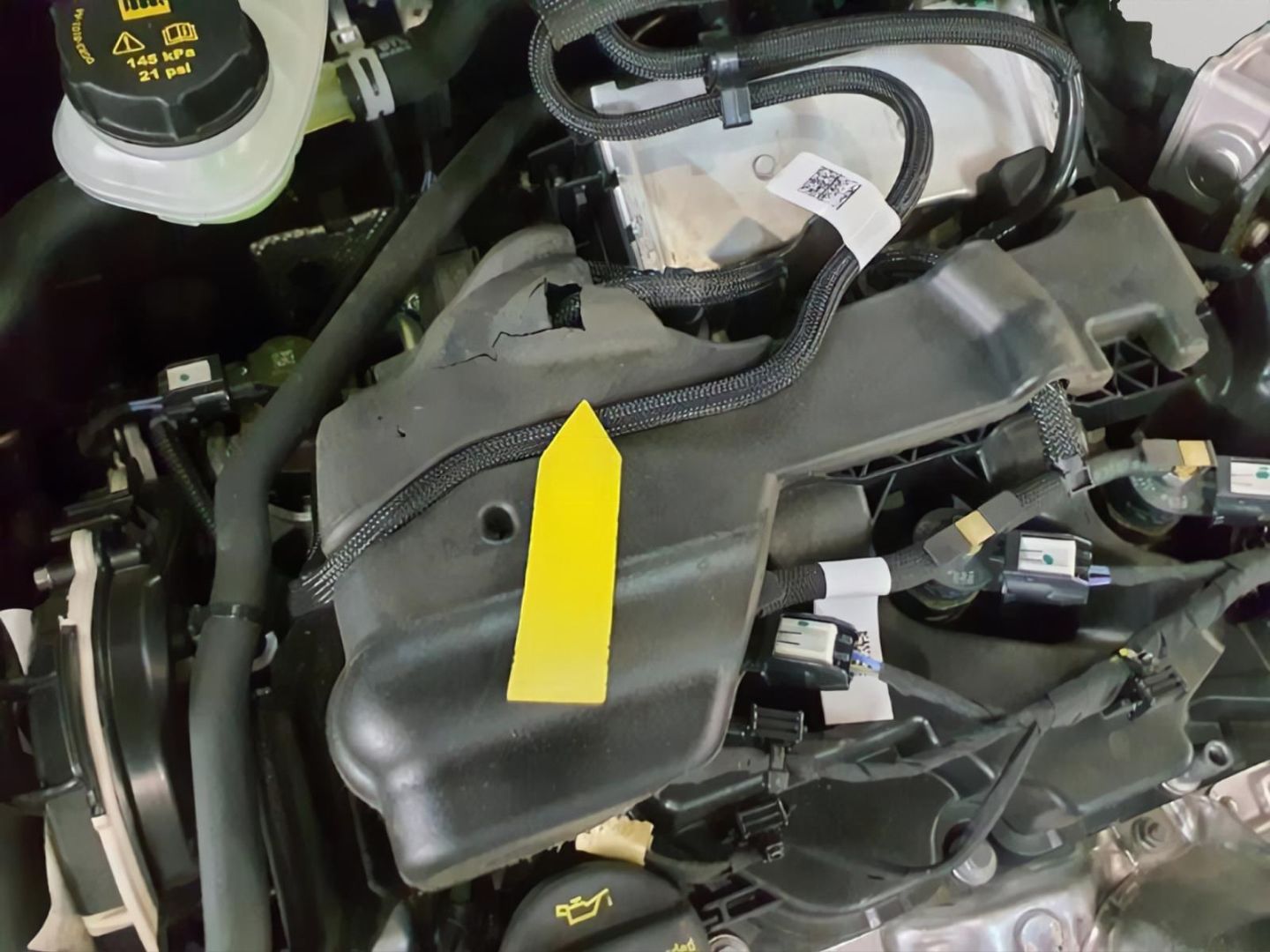 Fahrzeugabbildung Ford Focus Turnier ST-Line X Kamera VerkehrszeichERK