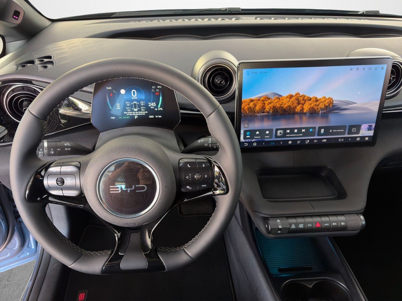 BYD DOLPHIN
