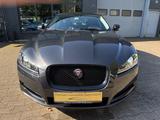 Jaguar XF 2.2 Diesel*XENON*LEDER*KAMERA* - gebrauchte Jaguar XF aus dem Jahr 2014