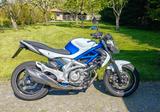 Suzuki Gladius SFV650 ABS, LSL, Kurzes Heck
