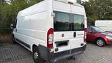 Fiat Ducato Großraumkasten 2.3 Diesel - Fiat Ducato in Leipzig