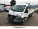 Fiat Ducato Pritsche  NEUER TÜV