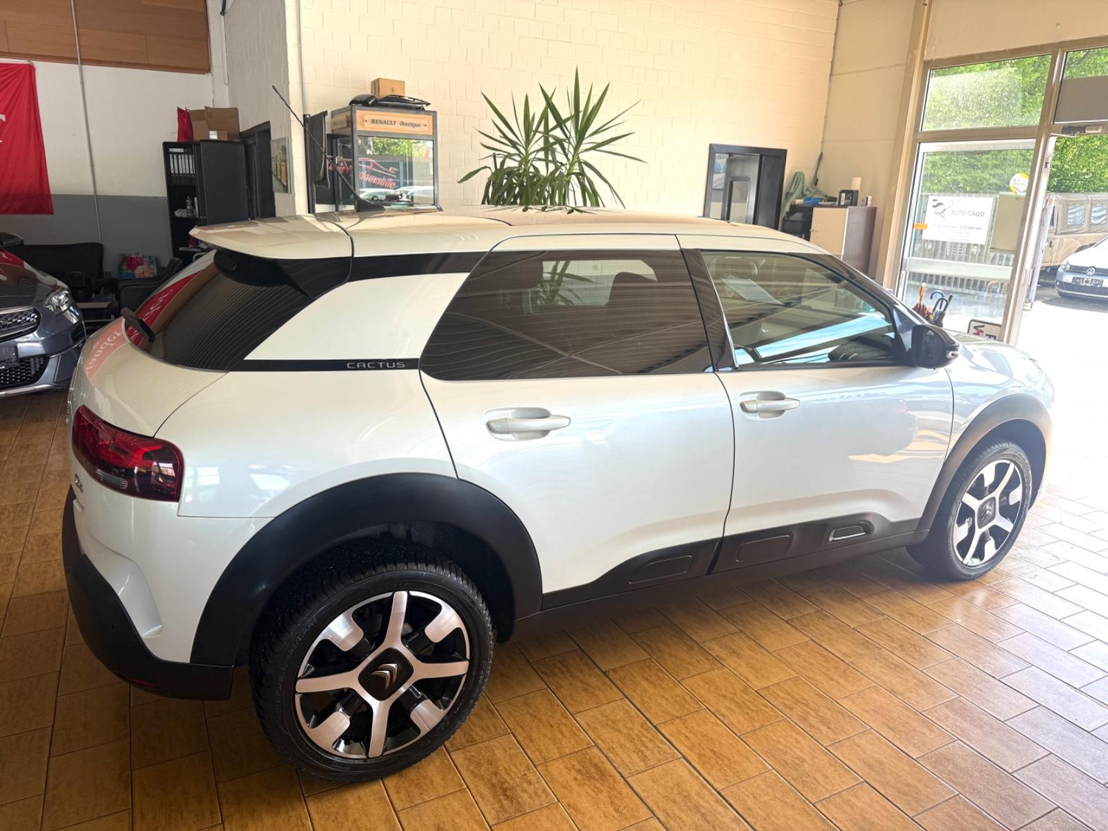 Citroën C4  CACTUS