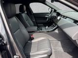 Land Rover Range Rover Velar D300 Dyn. SE 20" ACC Winter-Pa - Land Rover Range Rover Velar in Osnabrück