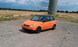 Volkswagen Vw Lupo 6x mit Tüv bis 06 2026 - Volkswagen Lupo: 6x