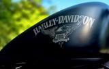 Harley-Davidson Sportster XL883N Iron - Offers