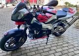 Aprilia Tuono 1000R Daytona - APRILIA TUONO 1000 R