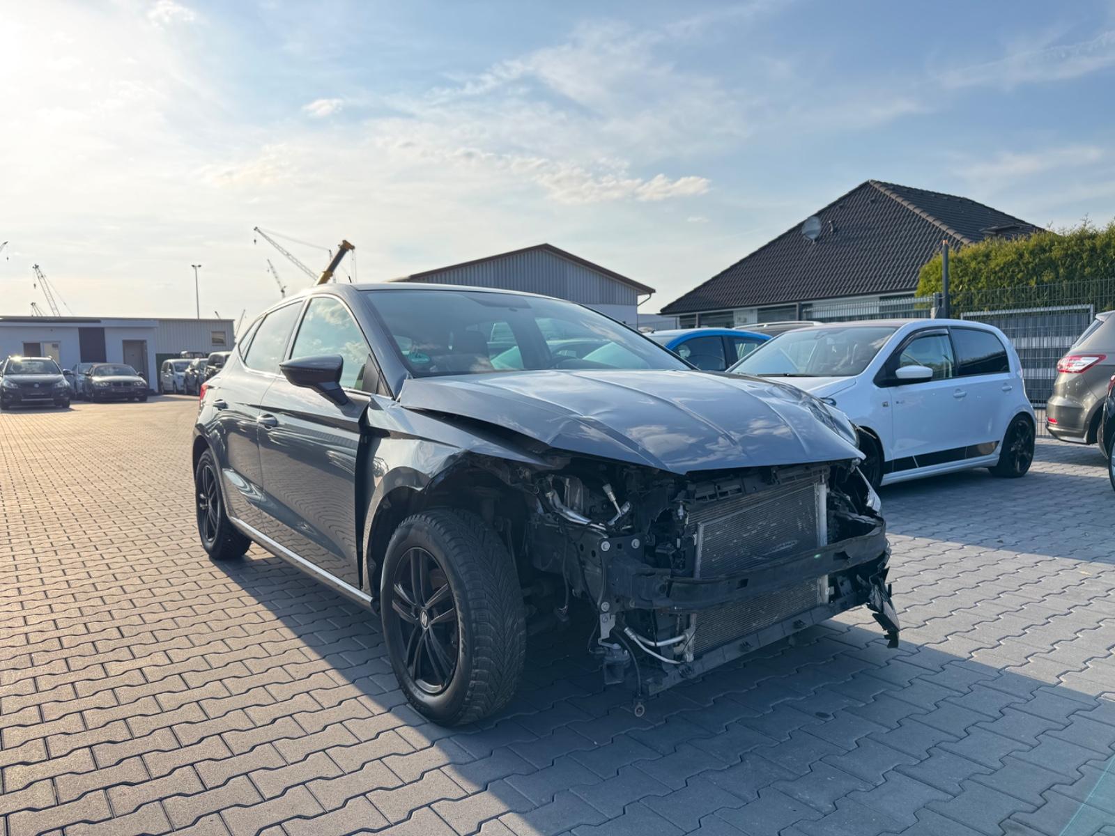 Seat Ibiza Xcellence / Pano/ Nav./ Alu