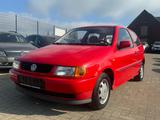 Volkswagen Polo Basis 1,4 - Volkswagen Polo aus 1997