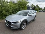 Mazda CX-30 M-Hybrid Selection Bose HUD SHZ 360° Kam.  - silberne Mazda CX-30