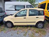 Fiat Panda 1.1 8V Active - Fiat Panda Gebrauchtwagen in Bremen