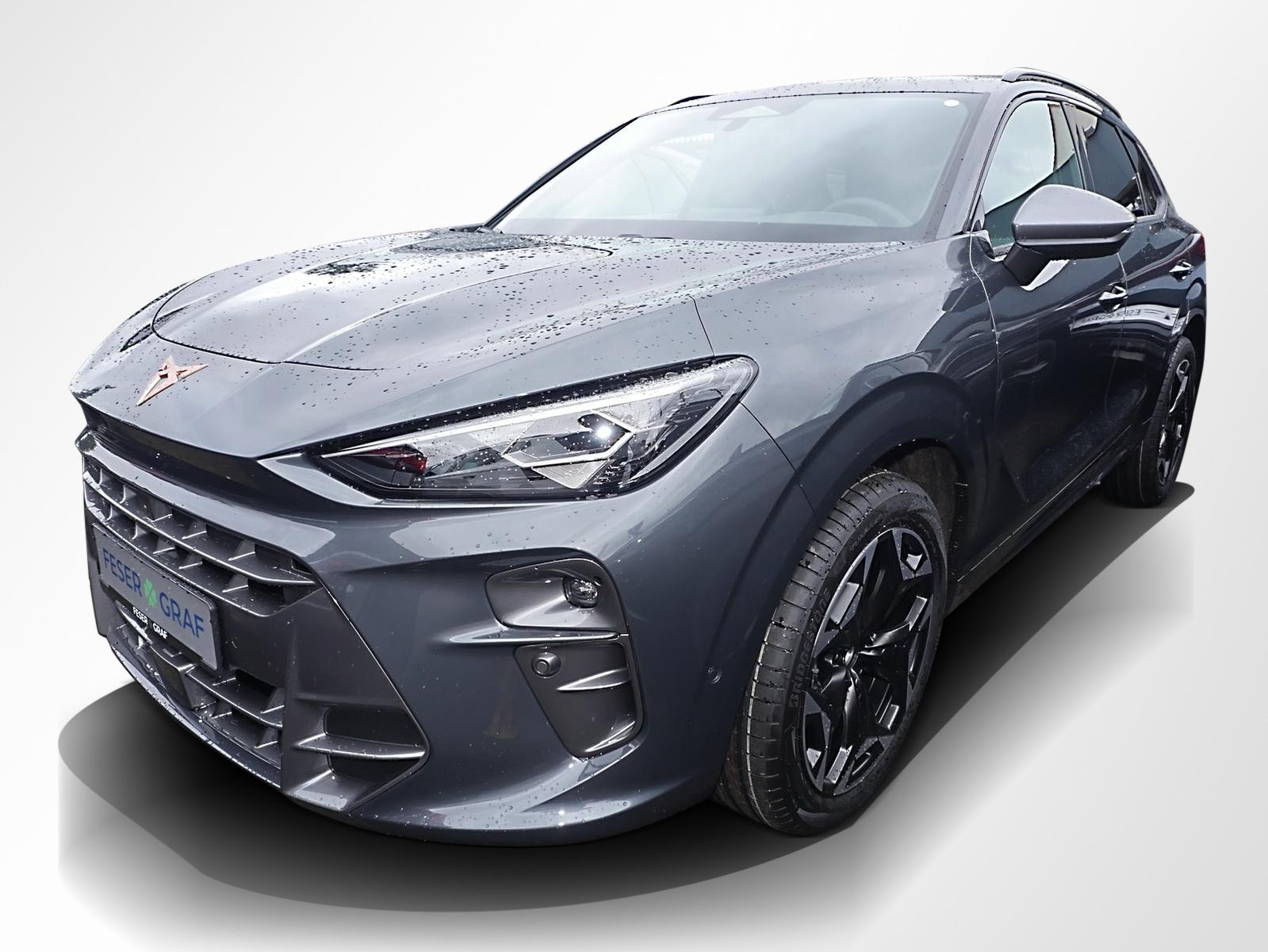 Cupra Terramar - Bild 10