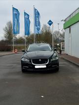 Jaguar XJ Luxury 3.0 V6 Diesel S Luxury - Jaguar XJ aus 2013