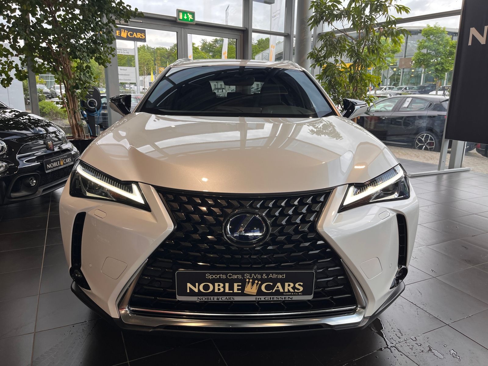 Fahrzeugabbildung Lexus UX 250 h Style AHK LED SHZ CARPLAY RFK