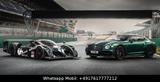 Bentley CONTINENTAL  GT LE MANS EDITION 1 of 48 FULLOPT! - Bentley Continental GT: Coupe