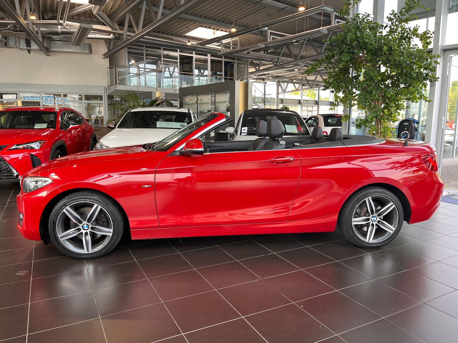 Fahrzeugabbildung BMW 220d Cabrio KLIMA NAVI ALU