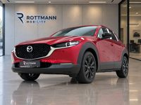 Mazda CX-30 - Vorschau Bild 2