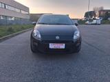 Fiat Punto 1.3 MJT II S&S 85 CV 5 porte ECO Easy - Fiat Punto EASY mit Diesel-Antrieb