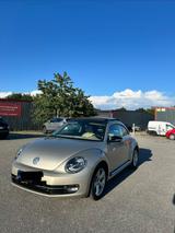 Volkswagen Beetle - Volkswagen New Beetle: Leder
