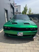Dodge Challenger 6.4 V8/Diamantgrün/Leder/Kamera - gebrauchte Dodge Challenger aus dem Jahr 2018