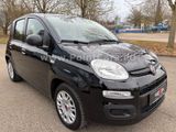 Fiat Panda 1.0 Urban Mild-Hybrid*1.HAND-EURO 6* - Fiat Panda aus 2021
