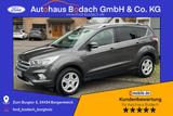 Ford Kuga Trend 1.5 120PS WiPa|PDC| - Ford Kuga: Ps