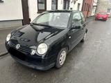 Volkswagen Lupo 1.0 l  -1500 WE-Rabatt- - Volkswagen: 1500