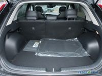 Kia Niro - Vorschau Bild 9