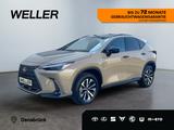 Lexus NX 350h E-Four Overtrail *360°*Panoramaglasdach* - Lexus NX 350h Jahreswagen