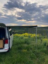 Volkswagen VW T6.1 Camper Ausbau | 1. Hand | Top Zustand  - Volkswagen: Kleinbus, Ausbau