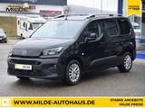 Fiat Doblo MAXI XL BlueHDi 130 NAV 7-SITZE DACHRELING - Fiat Doblo: Xl