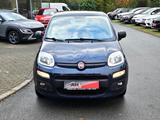 Fiat Panda 1,2 8V Easy - Fiat Panda: Blau