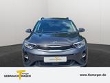 Kia Stonic Platinum Edition - Kia Stonic Gebrauchtwagen in Dortmund